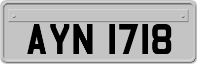 AYN1718