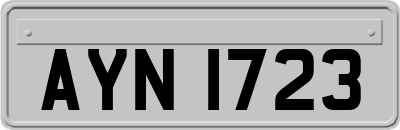 AYN1723