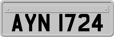 AYN1724