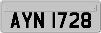 AYN1728