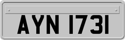 AYN1731