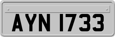 AYN1733