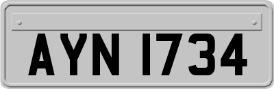 AYN1734