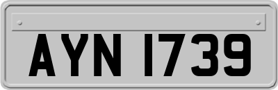 AYN1739