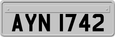 AYN1742