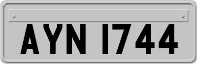 AYN1744