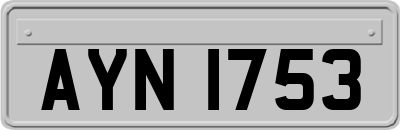 AYN1753