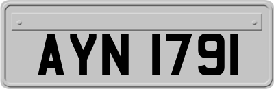 AYN1791