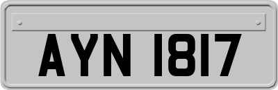 AYN1817