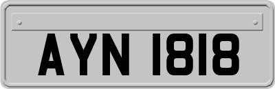 AYN1818