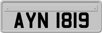 AYN1819