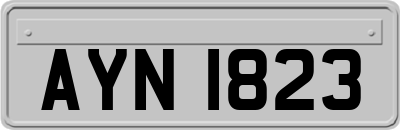 AYN1823