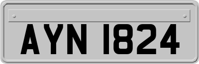 AYN1824