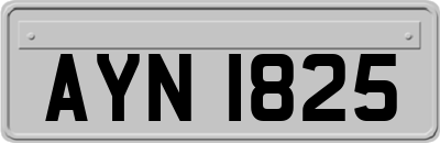 AYN1825