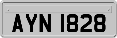 AYN1828