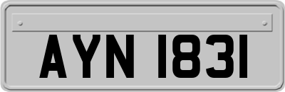 AYN1831