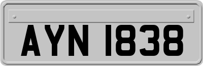 AYN1838
