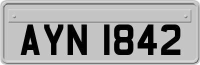 AYN1842