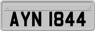 AYN1844