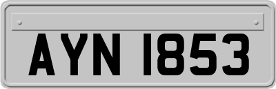 AYN1853