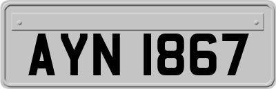 AYN1867