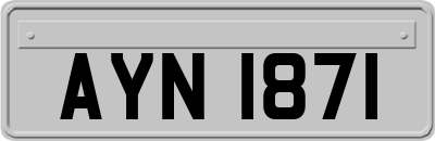 AYN1871