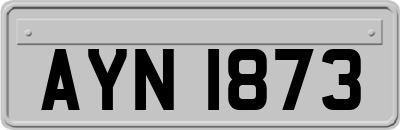 AYN1873
