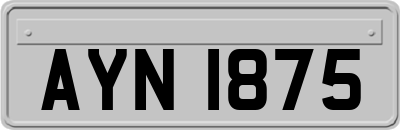 AYN1875