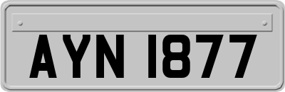 AYN1877