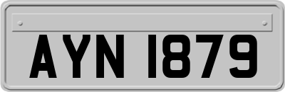 AYN1879