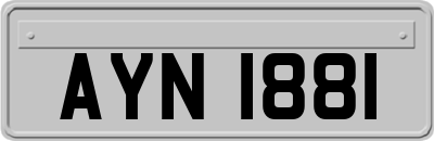 AYN1881