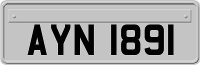 AYN1891