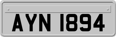 AYN1894