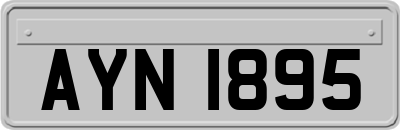 AYN1895