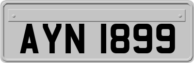 AYN1899