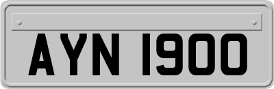 AYN1900