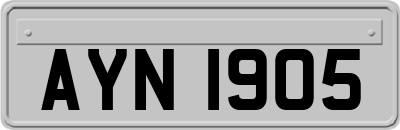 AYN1905