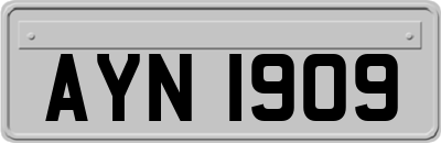 AYN1909