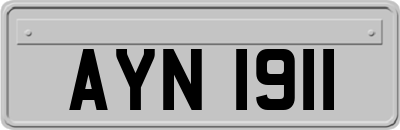AYN1911