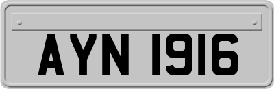 AYN1916