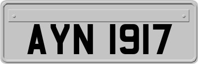 AYN1917