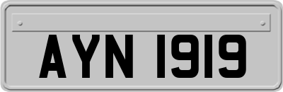 AYN1919