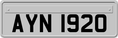 AYN1920