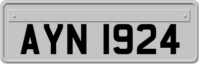 AYN1924