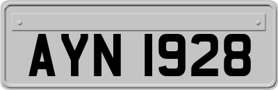 AYN1928