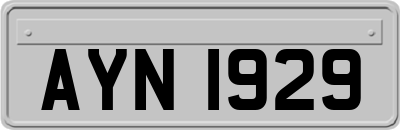AYN1929