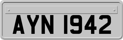 AYN1942