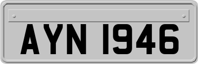AYN1946