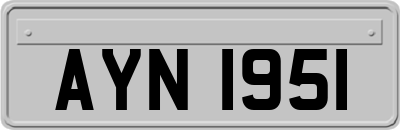 AYN1951