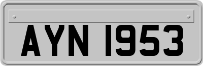AYN1953